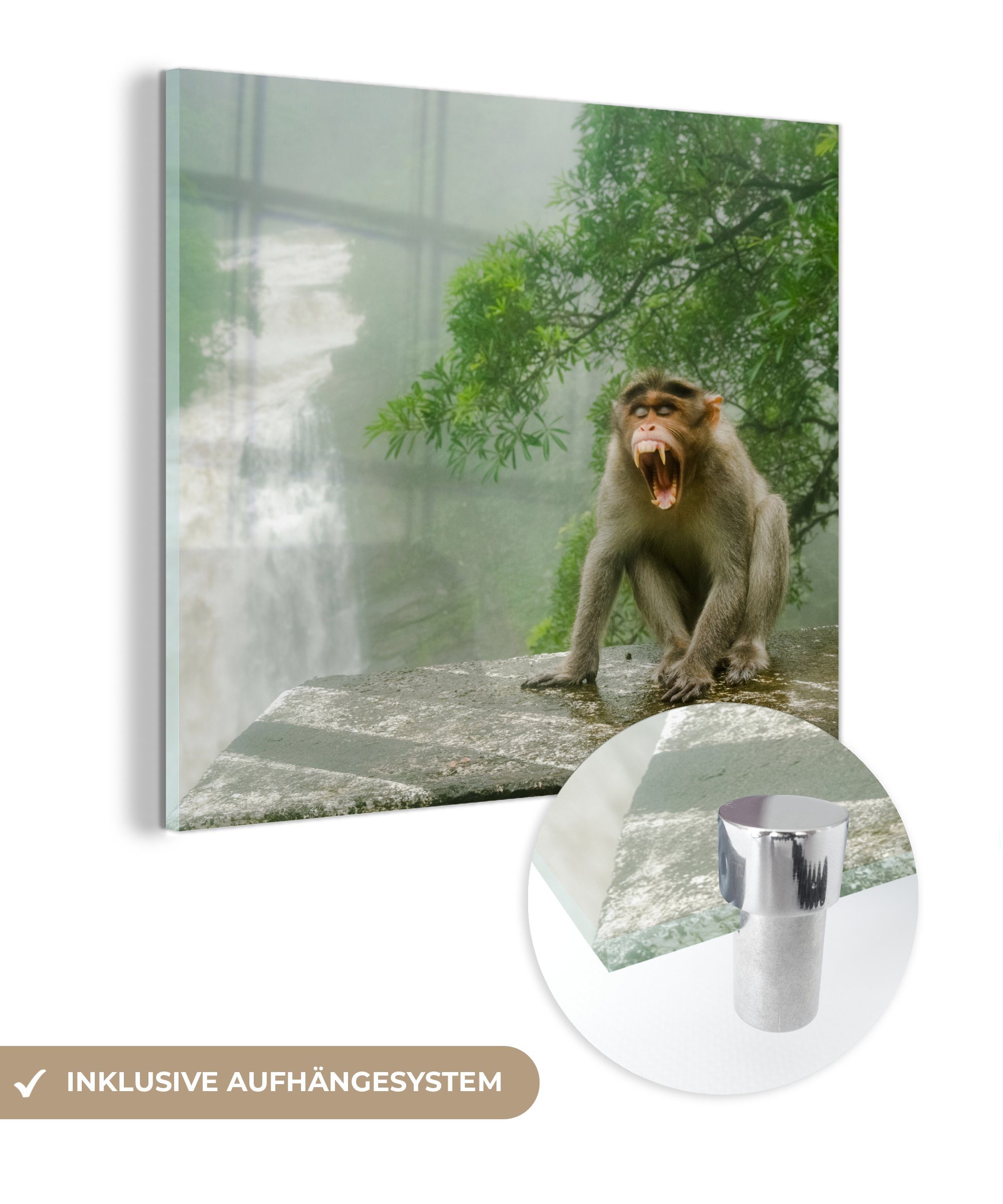 MuchoWow Acrylglasbild Schreiender Affe vor Wasserfall, (1 St), Glasbilder - Bilder auf Glas Wandbild - Foto auf Glas - Wanddekoration