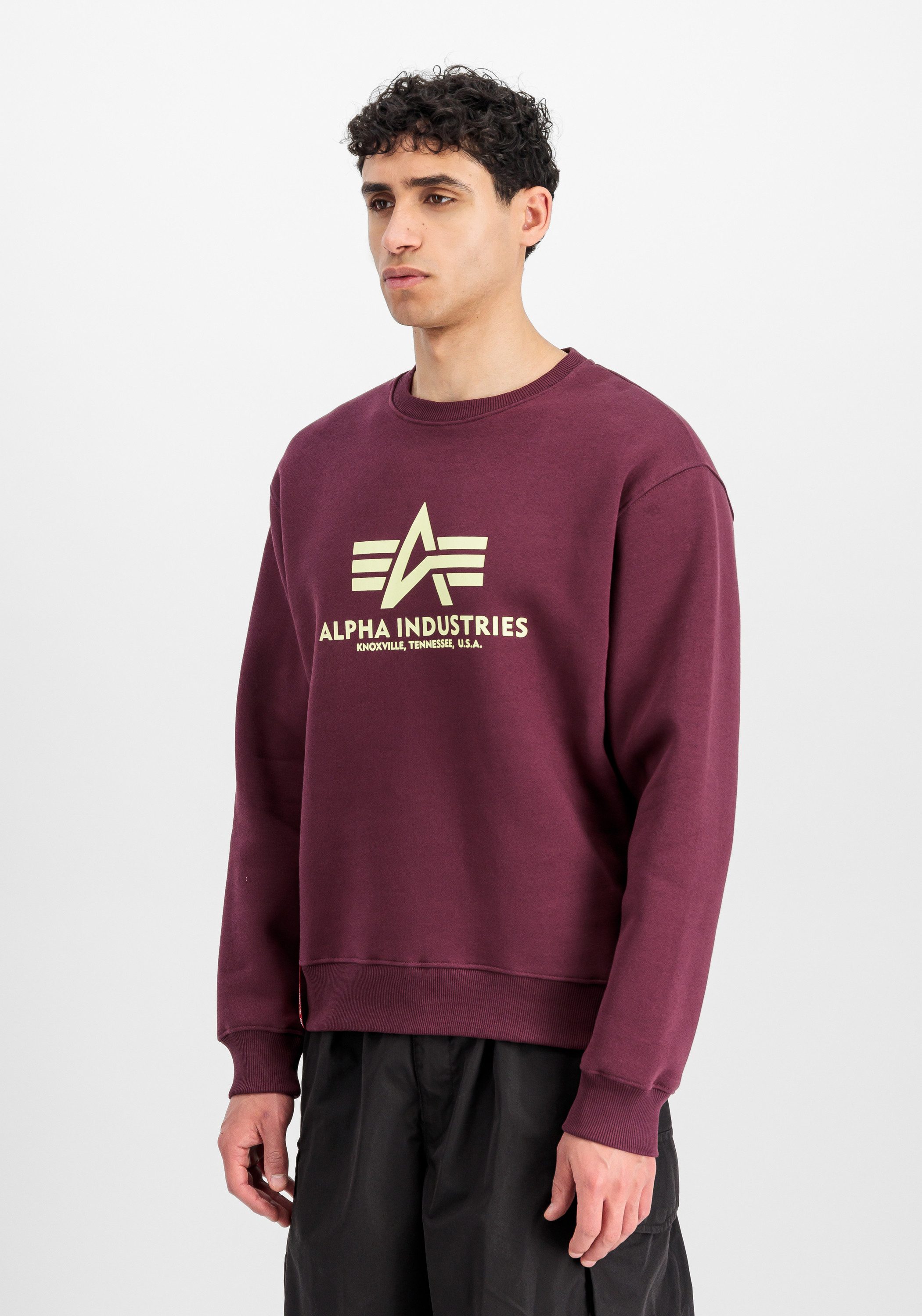 Alpha Industries Sweater Basic Sweatshirt BL