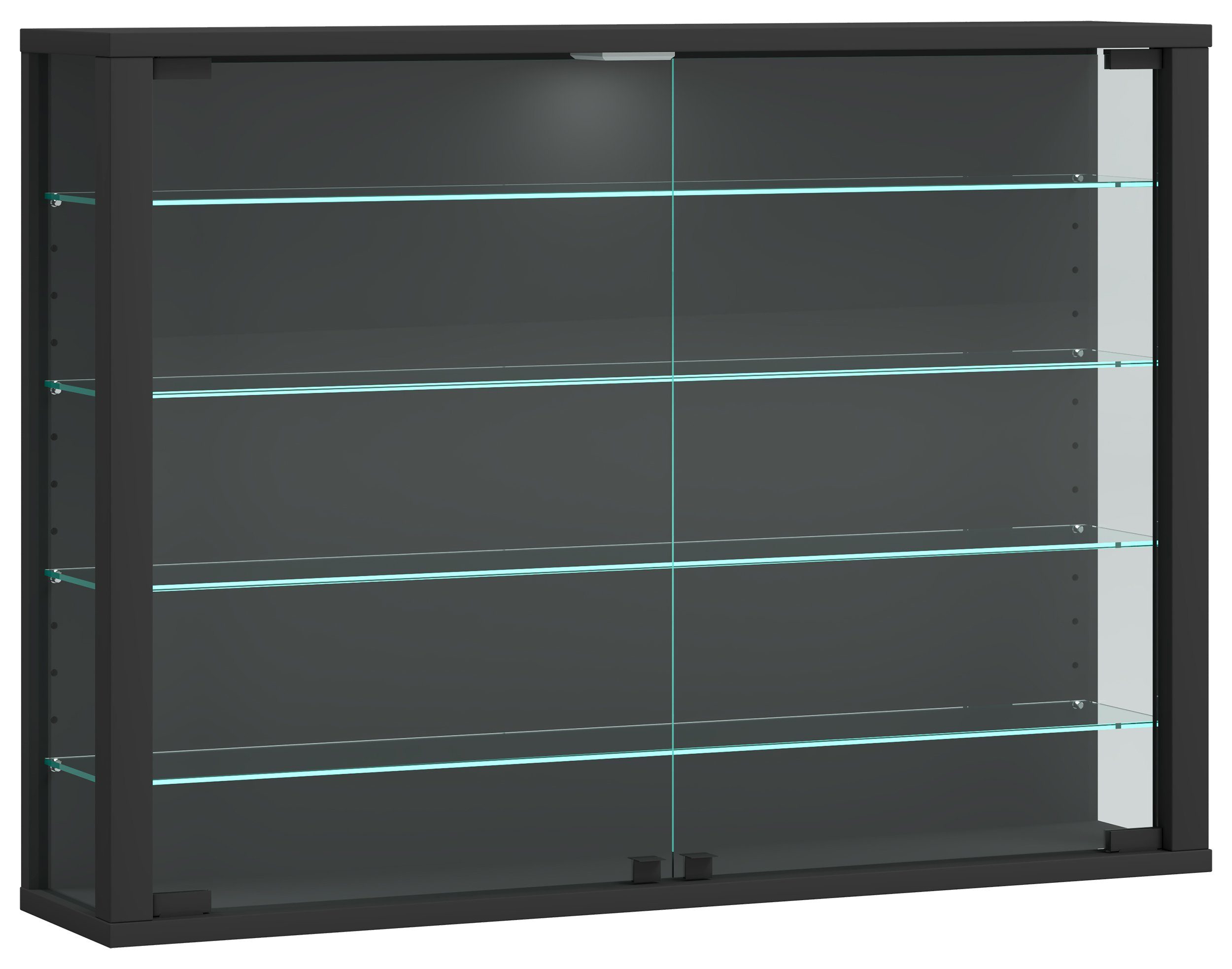 VCM Hängevitrine Wandvitrine Hängevitrine Glasvitrine Vitrosa L günstig online kaufen