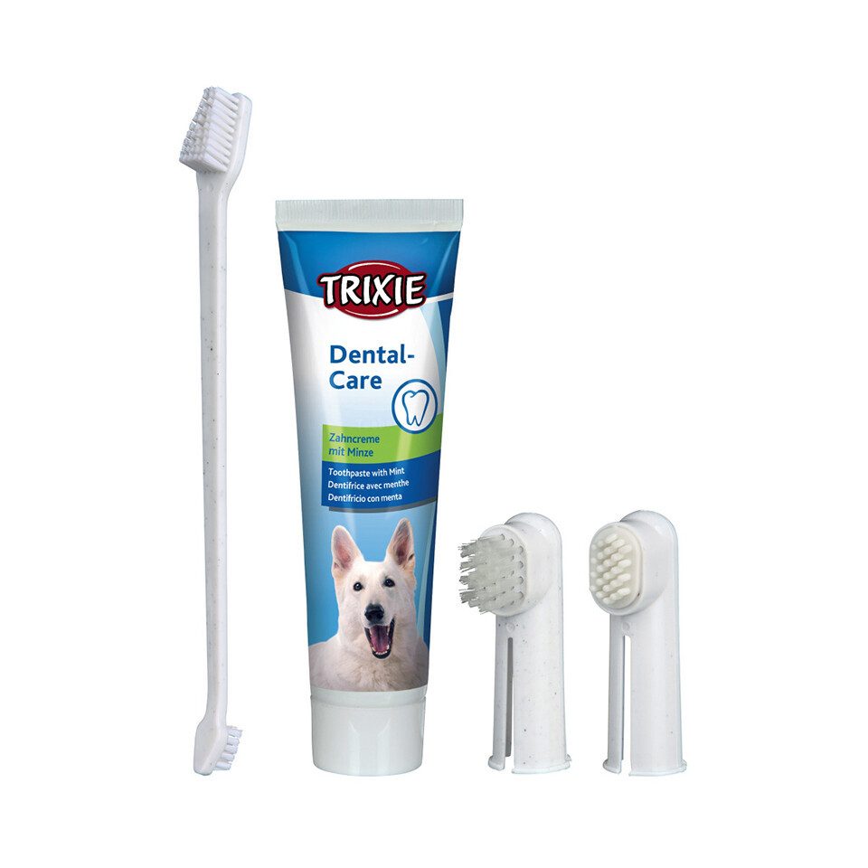 Tierzahnbürste Zahnpflege-Set für Hunde
