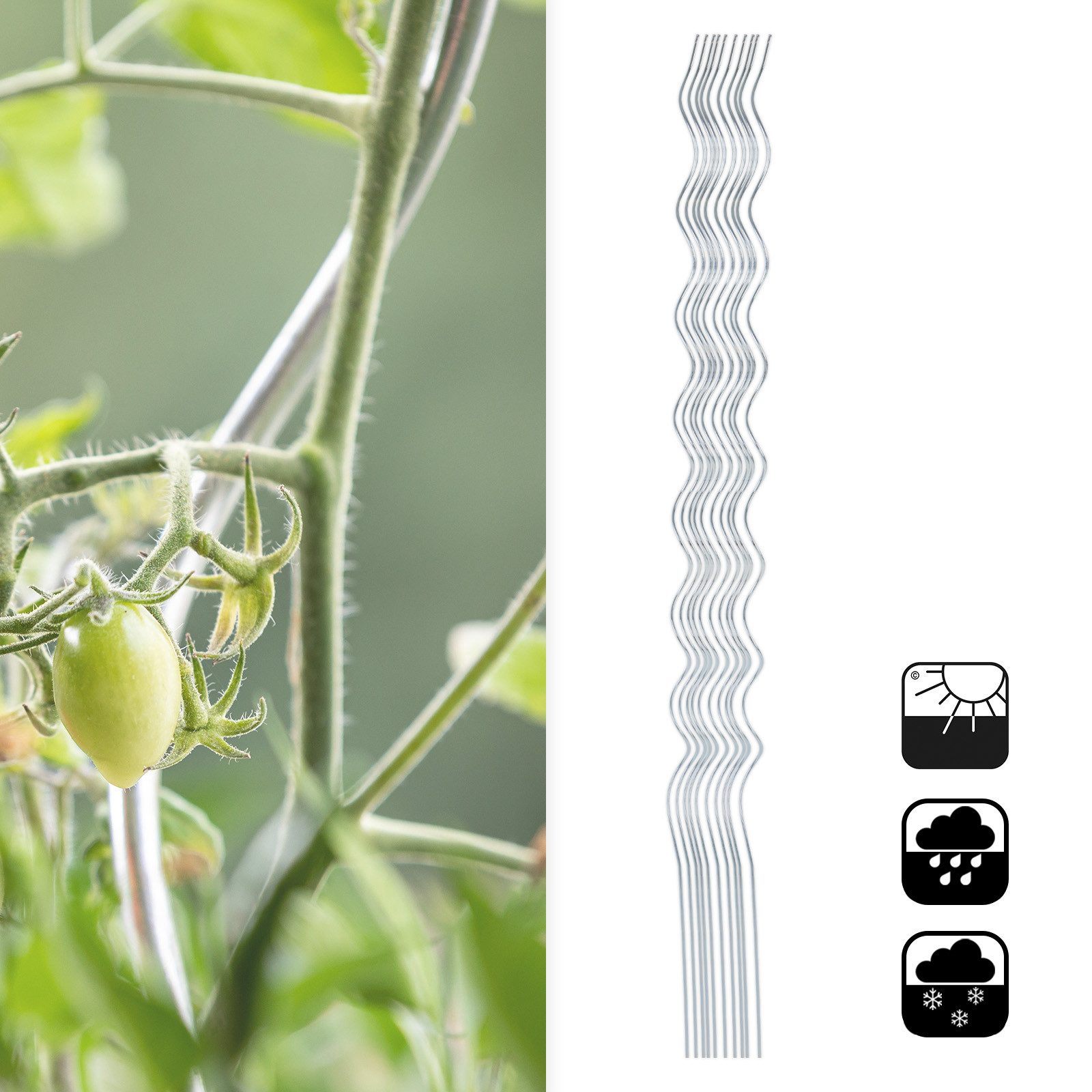 Kräuterspirale Tomatenspiralstäbe, Pflanzstab