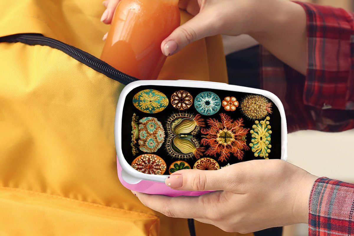 MuchoWow Lunchbox Vintage - Ernst Brotbox - Meerestier Kunststoff Kinder, Mädchen, rosa Meer - Kunst, (2-tlg), Kunststoff, Snackbox, - - Haeckel für Brotdose Erwachsene, Natur