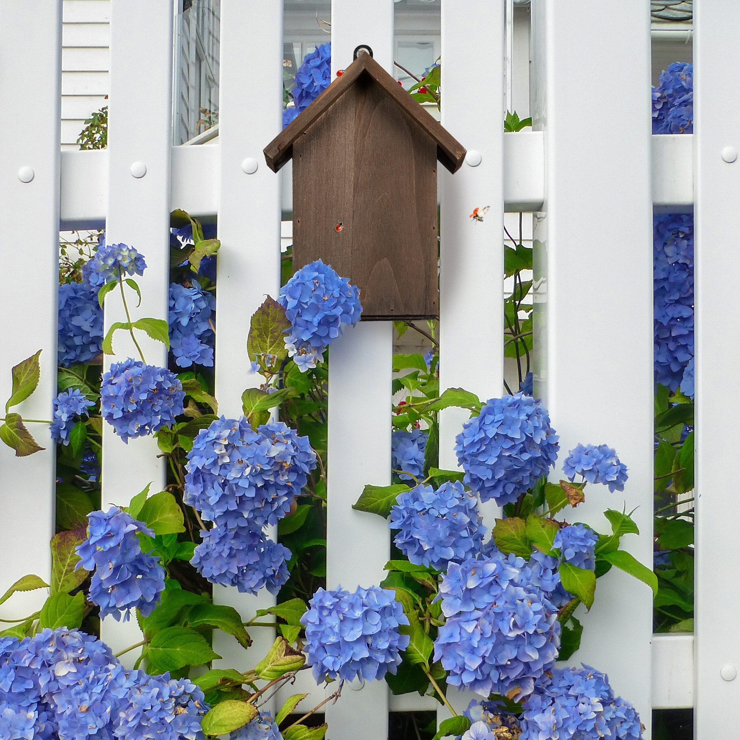relaxdays Insektenhotel Marienkäferhaus aus Holz, (1-St)