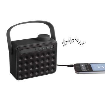 LIVOO ClipSonic Lautsprecher tragbar mit Radio und Bluetooth schwarz TES142N Lautsprecher