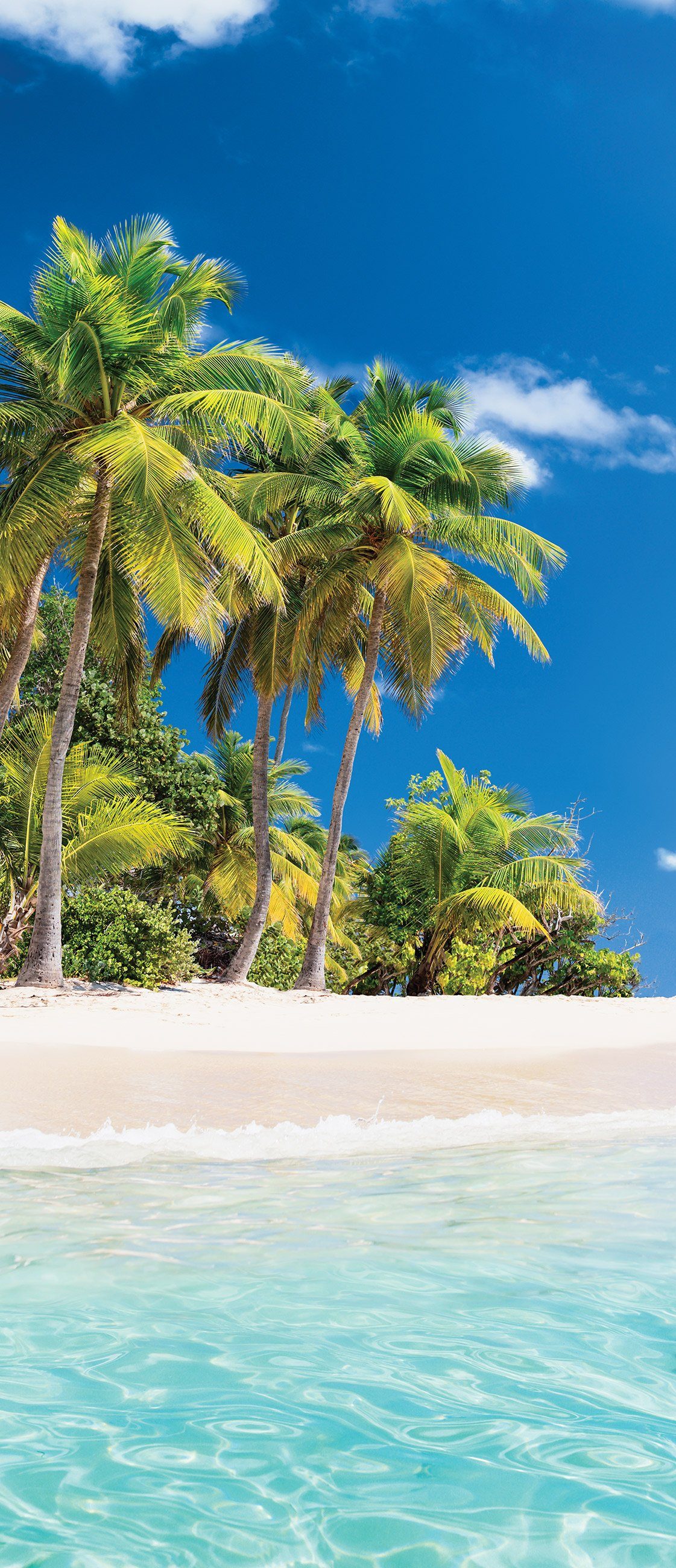 Wallarena Türtapete Selbstklebend Strand Meer Palmen Türposter Türaufkleber günstig online kaufen