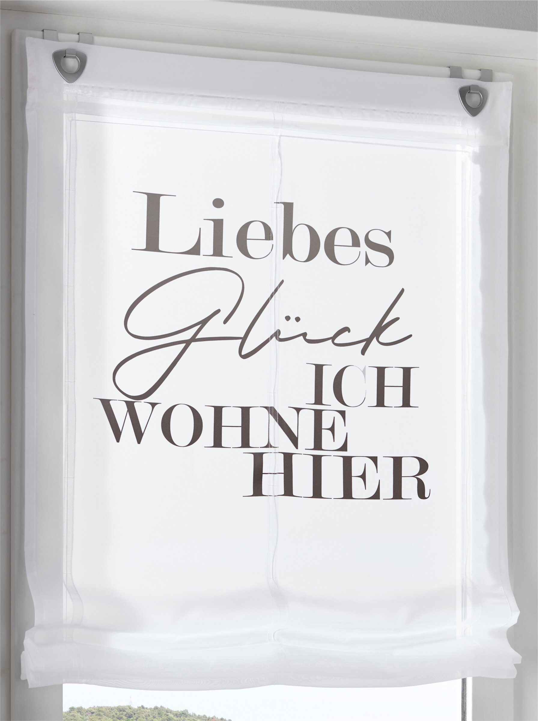 Rollo Raffrollo ., heine, transparent, Ösen mit Fensterhaken