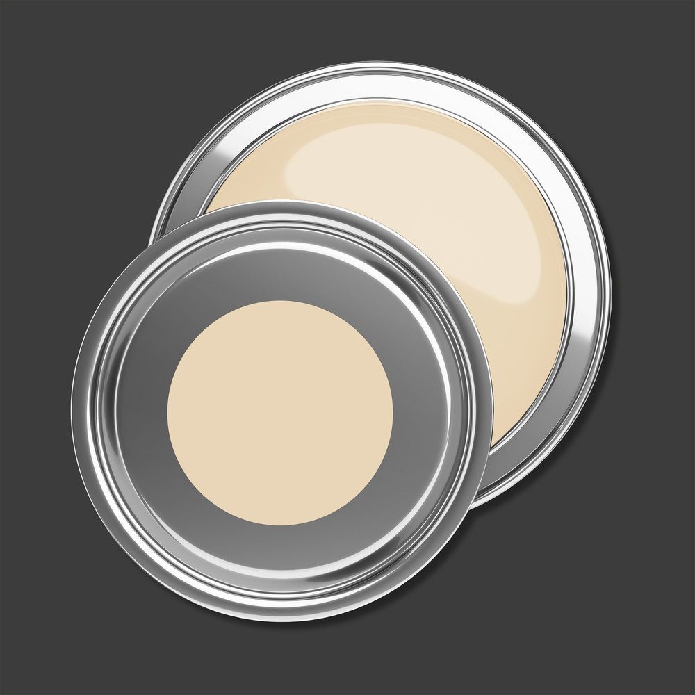 Puro Wandfarbe PURO Wandfarbe Beige "Smooth Saffron" DD126119 2,5 l