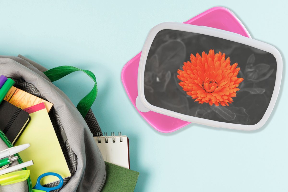 Brotdose (2-tlg), - Kunststoff, Kinder, Kunststoff MuchoWow - für Schwarz Lunchbox Mädchen, Blumen Snackbox, rosa Orange Erwachsene, - Brotbox Weiß,