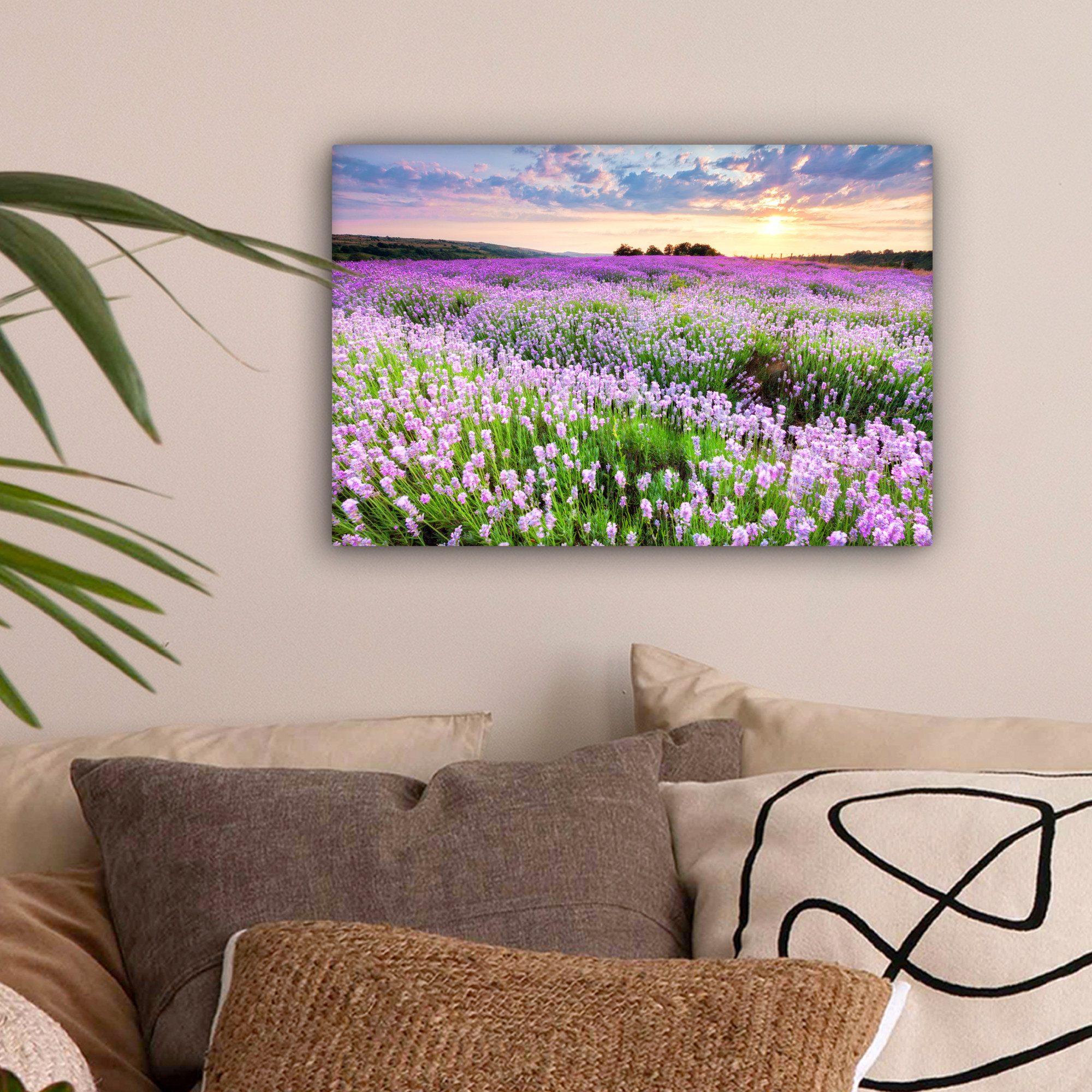 OneMillionCanvasses® Leinwandbild Lavendel - Blumen - günstig online kaufen