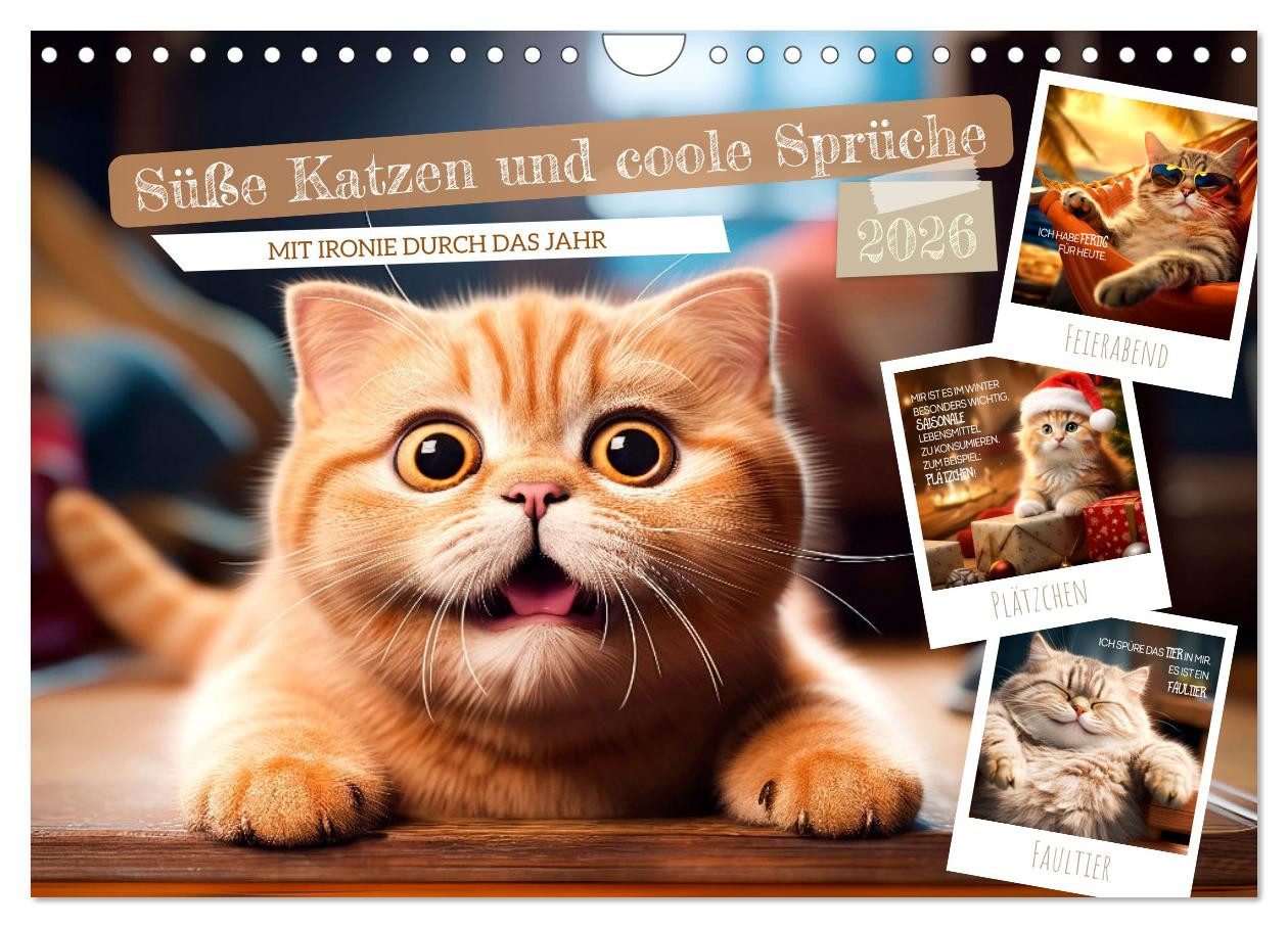 CALVENDO Wandkalender Süße Katzen und coole Sprüche (Wandkalender 2026 DIN A4 quer), CALVEND