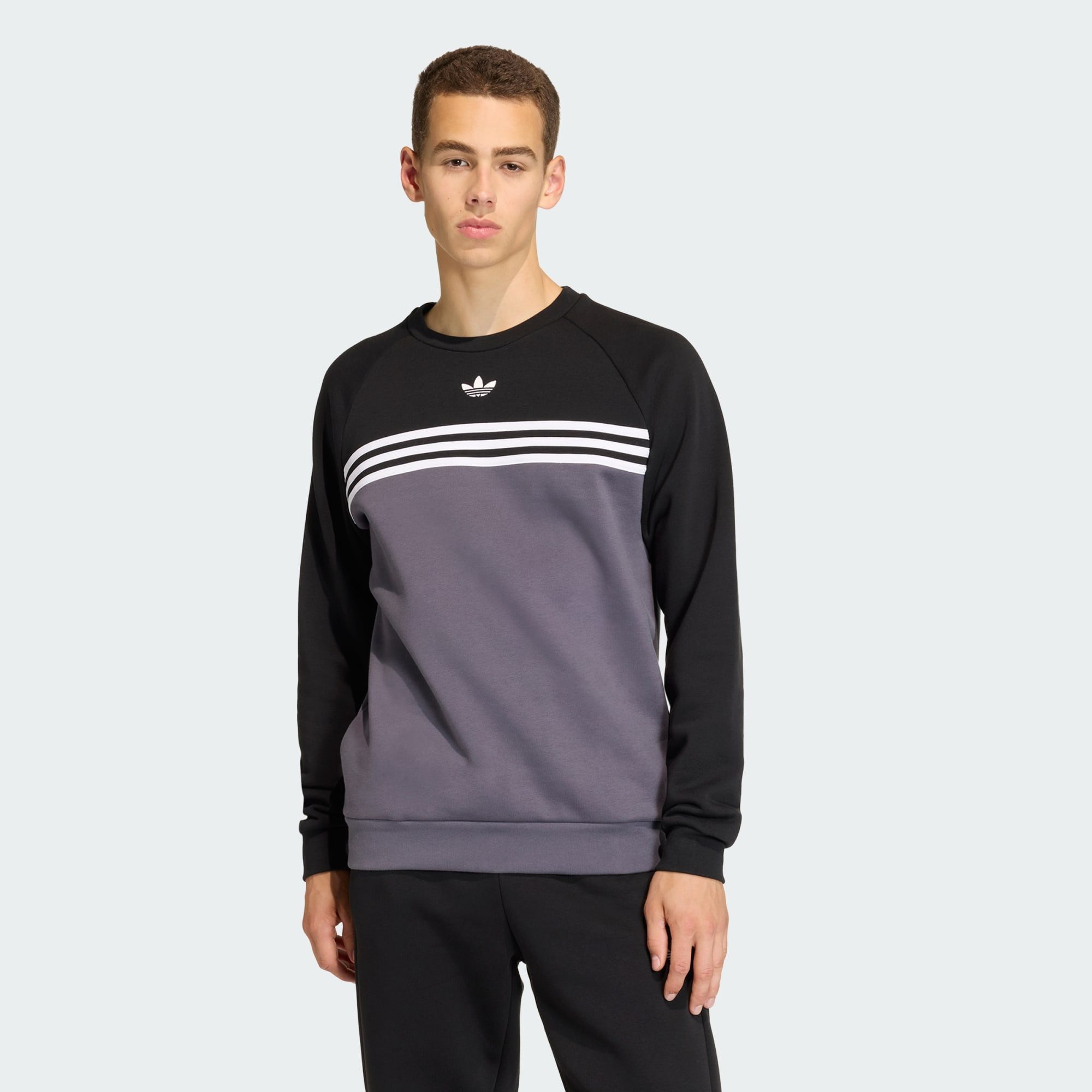 adidas Originals Sweatshirt CHEST STRIPES CREWNECK SWEATSHIRT (1-tlg) günstig online kaufen