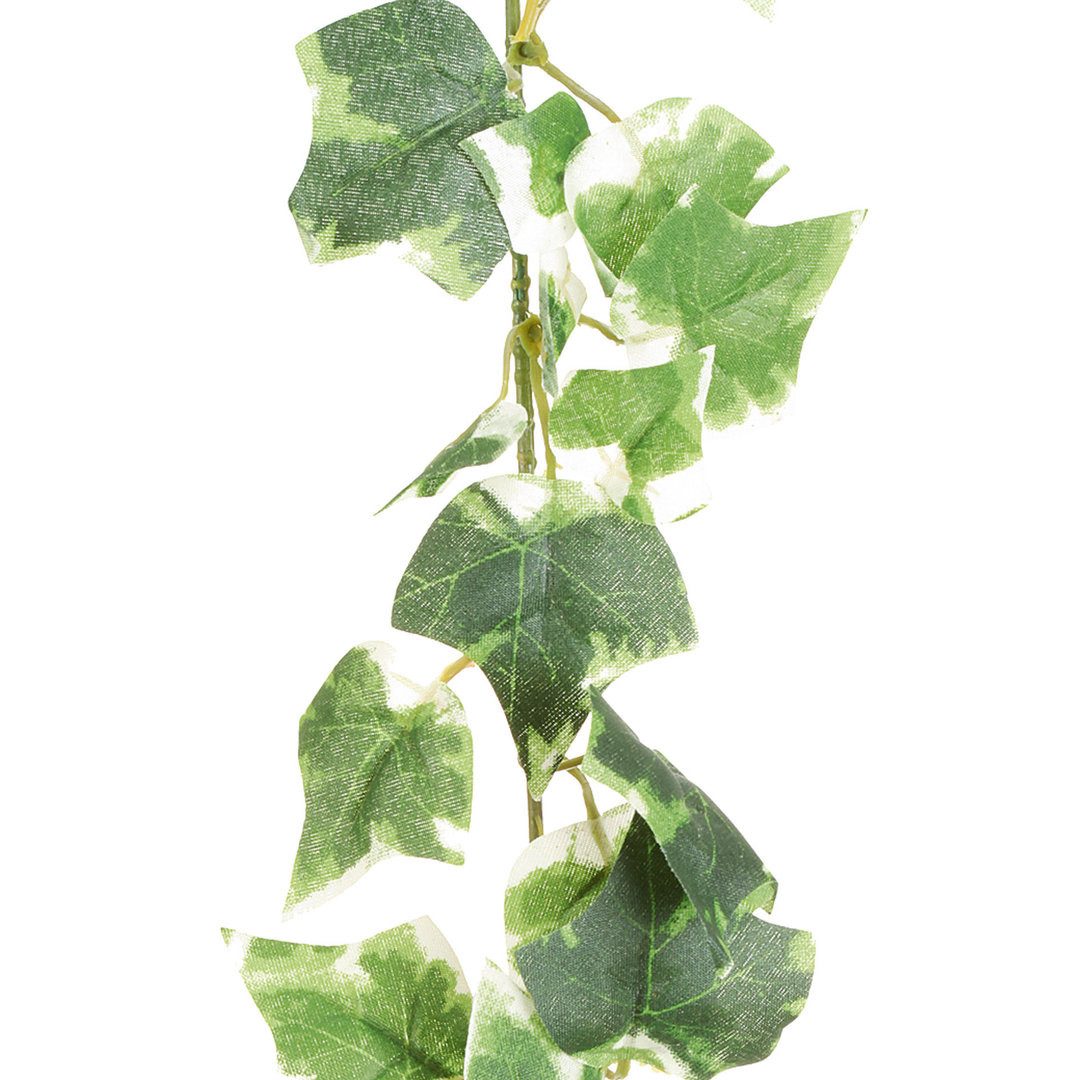 Kunstgirlande Künstlicher Efeu Engl. MINI-EFEUGIRLANDE ca 180cm. GRÜN-WEISS günstig online kaufen