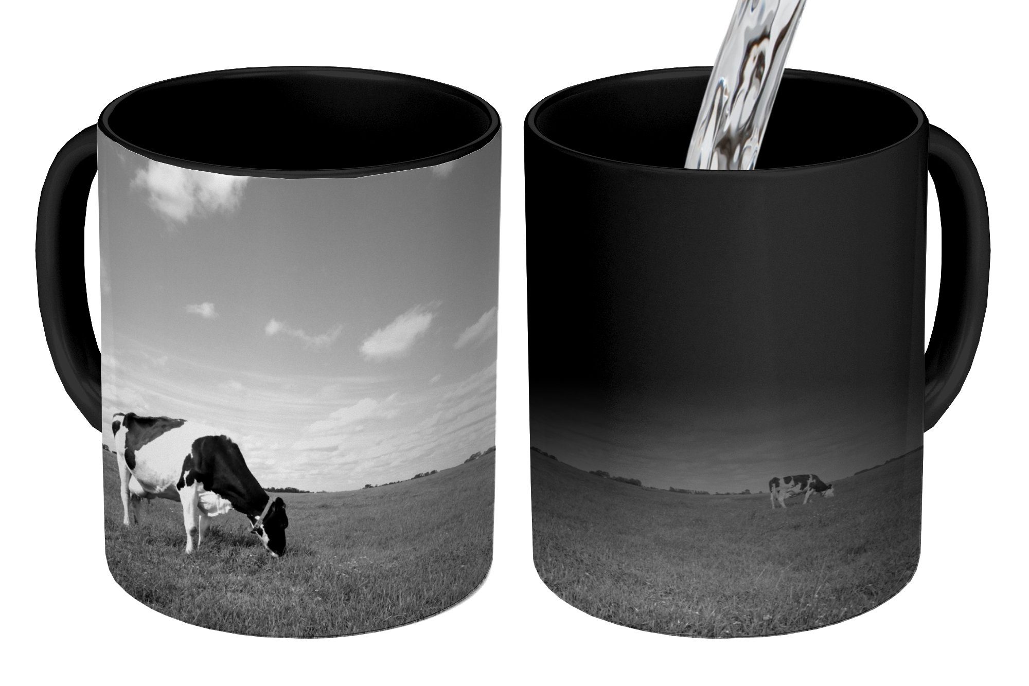 Farbwechsel, Kühe einer - auf schwarz-weiß, Friesland Wiese Teetasse, grasen Friesische Keramik, in Geschenk MuchoWow Tasse Zaubertasse, Kaffeetassen,