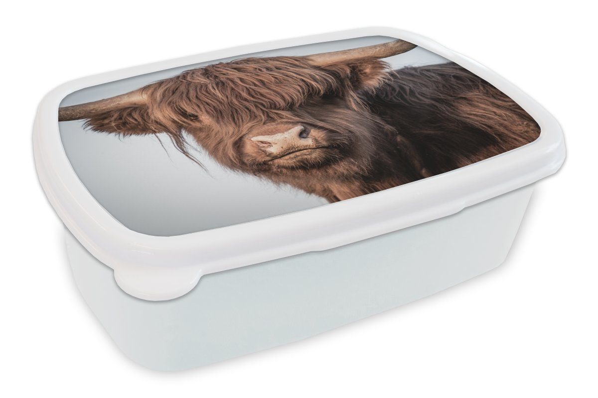 MuchoWow Lunchbox Schottischer Highlander - Tiere - Braun, Kunststoff, (2-tlg), Brotbox für Kinder und Erwachsene, Brotdose, für Jungs und Mädchen weiß
