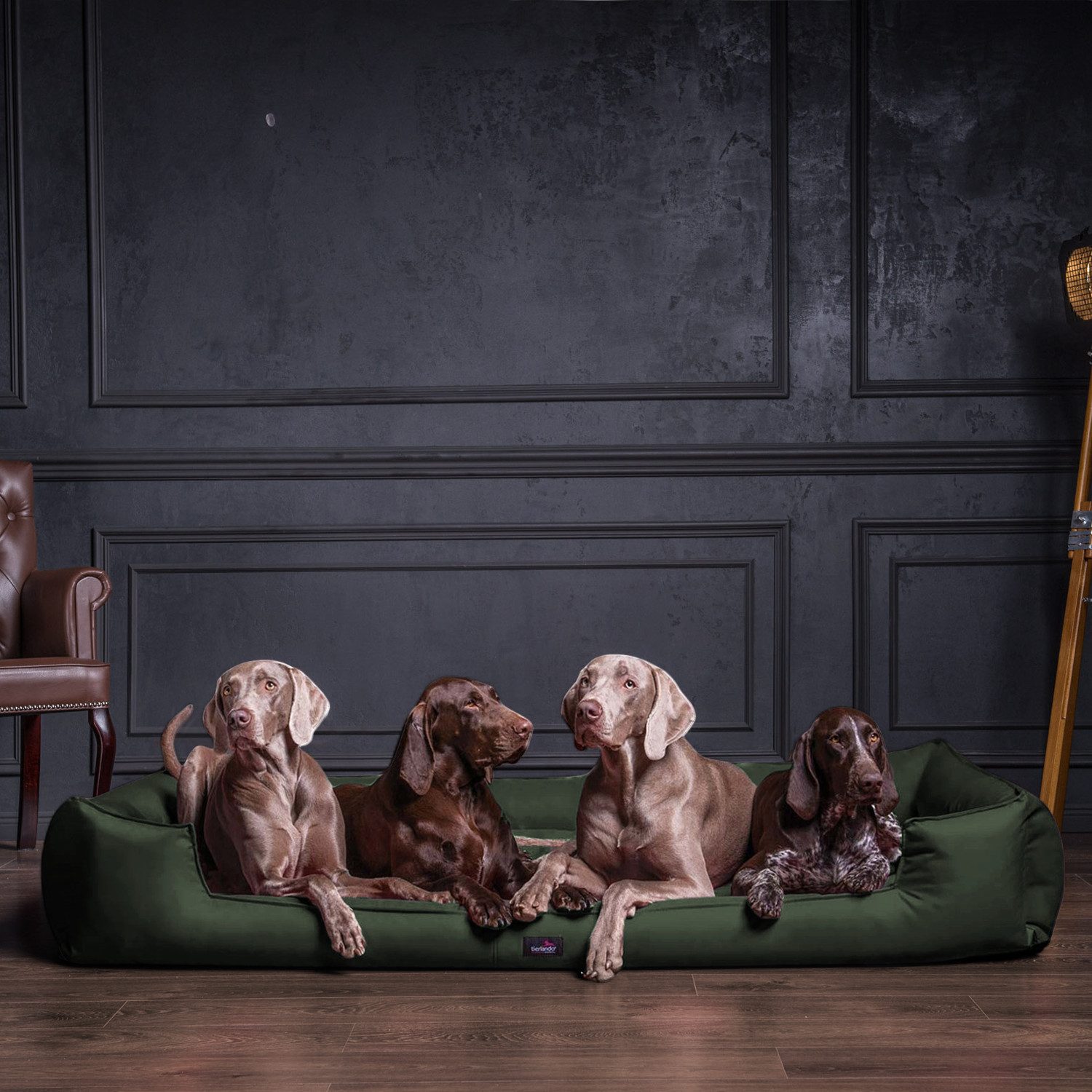 tierlando® Tierbett tierlando® Orthopädisches Hundebett GOOFY günstig online kaufen