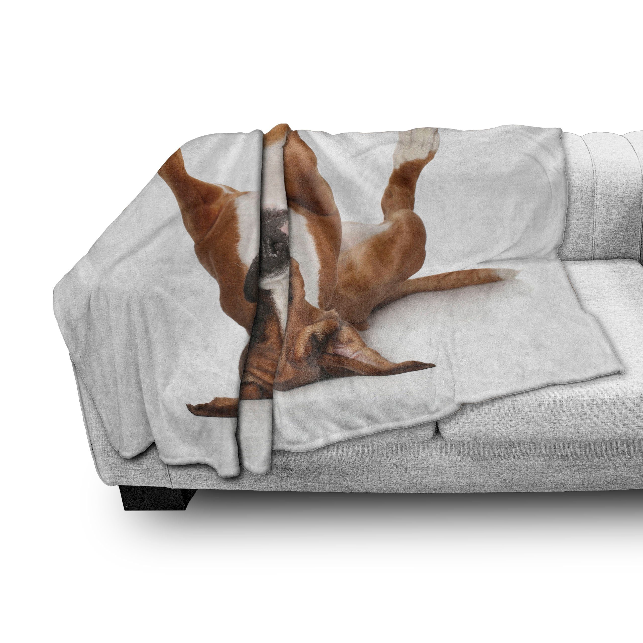 Abakuhaus, Boxer-Hund Bild für Puppy Lustige Playful und Wohndecke Plüsch Gemütlicher Innen- Außenbereich, den