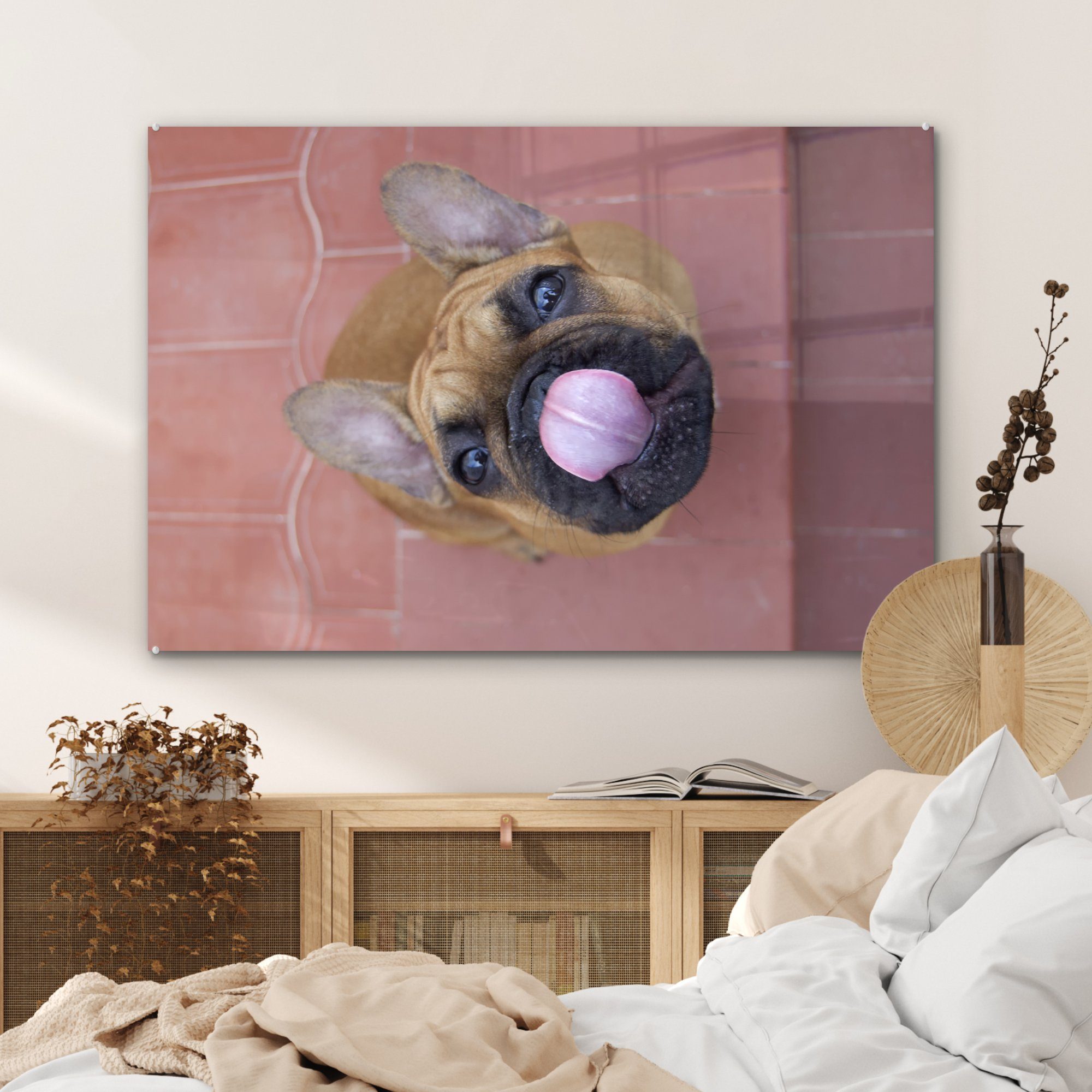MuchoWow Acrylglasbild Ein Welpe einer St), Schlafzimmer Französischen (1 Acrylglasbilder Wohnzimmer & Bulldogge