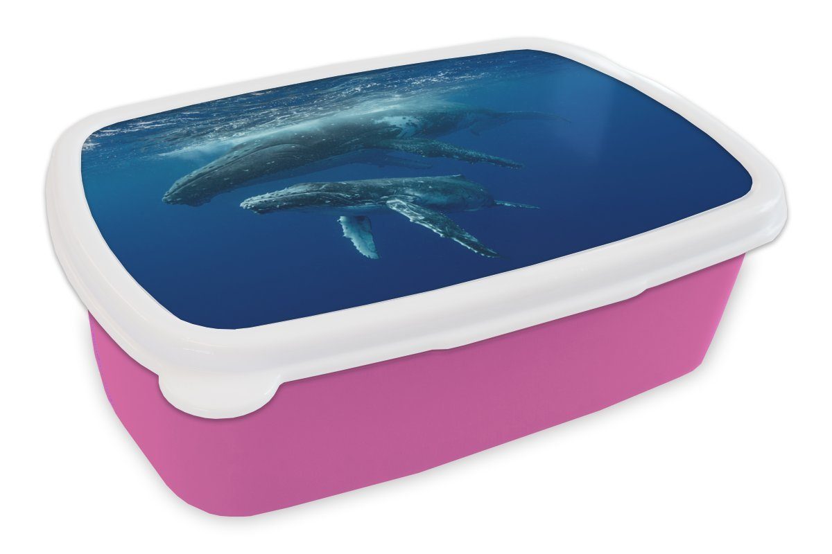 MuchoWow Snackbox, Kunststoff, Kinder, (2-tlg), Lunchbox Erwachsene, Mädchen, Brotdose seinem Kunststoff rosa Brotbox Kalb, mit für Buckelwal