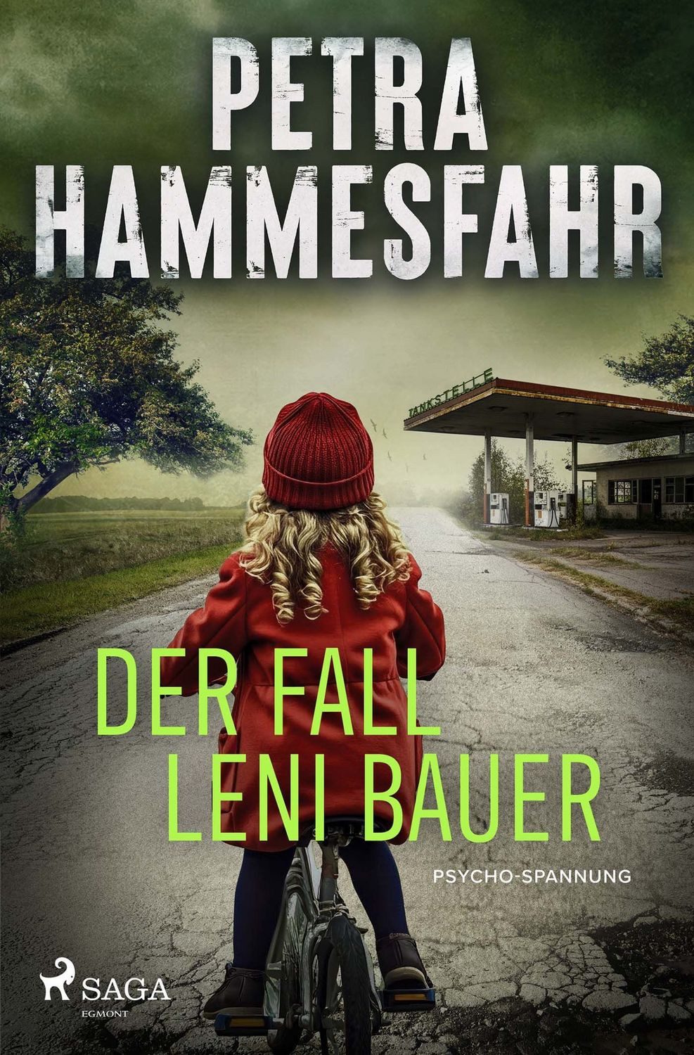 Der Fall Leni Bauer / Petra Hammesfahr