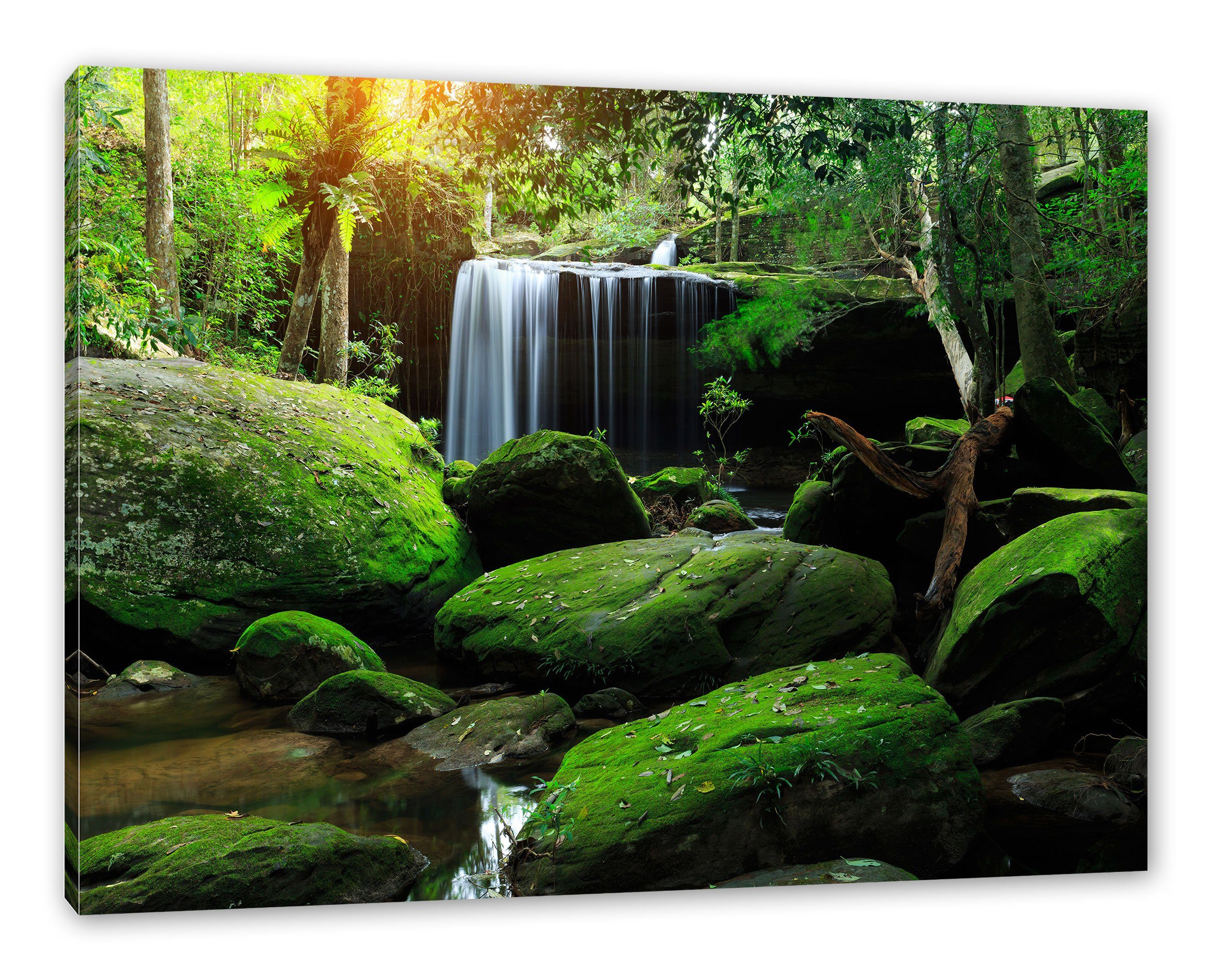 Leinwandbild St), Zackenaufhänger Thailand in (1 bespannt, Thailand, Regenwald fertig inkl. Regenwald in Pixxprint Leinwandbild