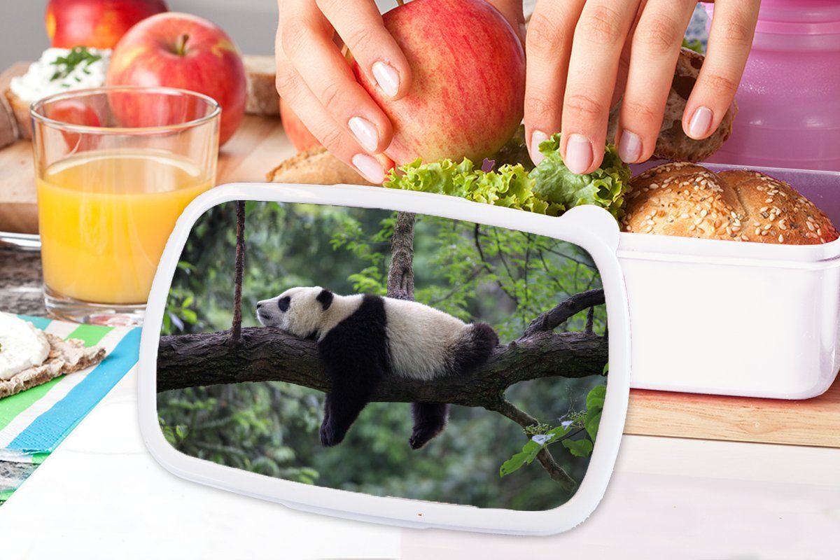 Tiere Baum und Lunchbox für Kunststoff, Kinder Natur, Jungs Brotbox für Brotdose, und Mädchen weiß - - Panda MuchoWow (2-tlg), Erwachsene, -