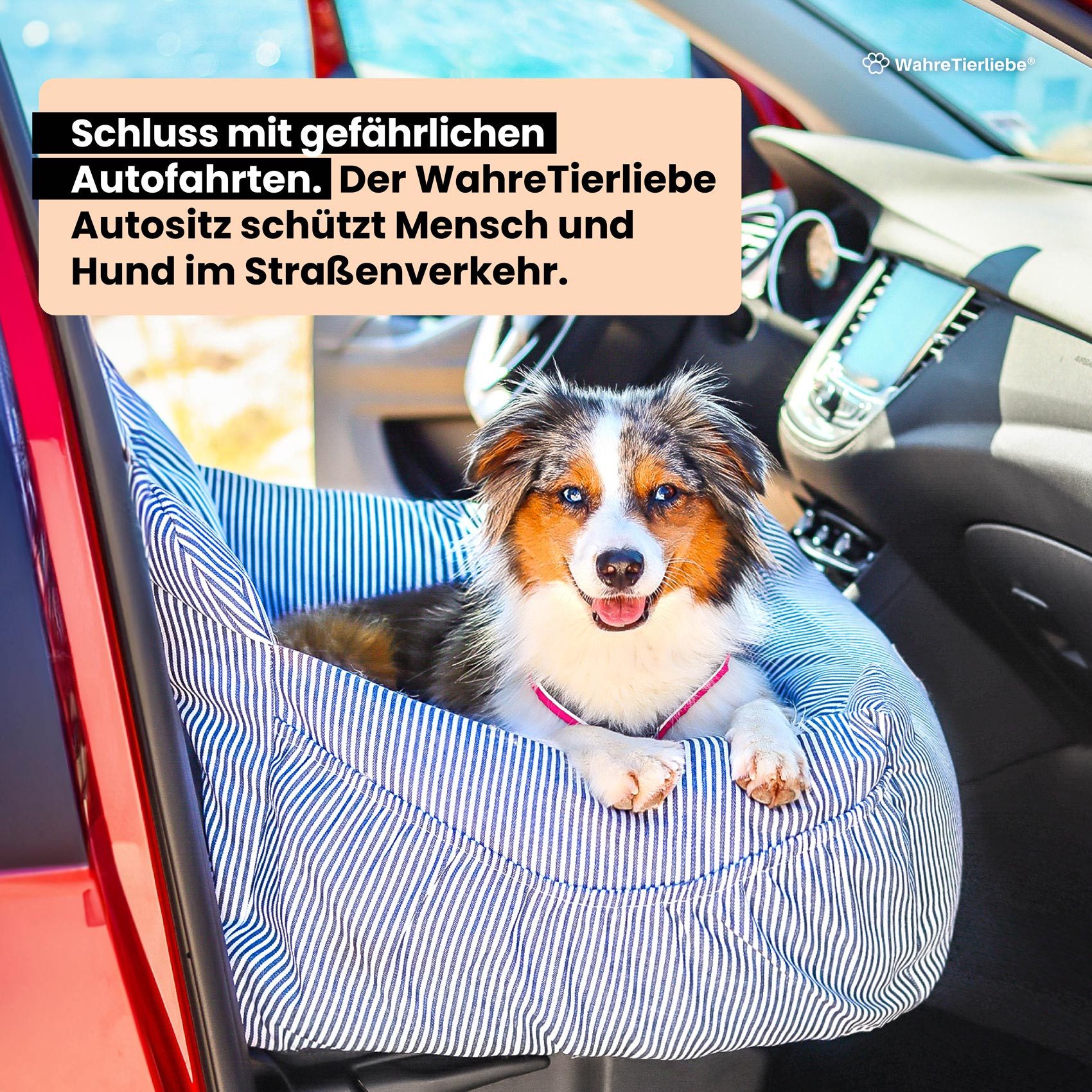 Wahre Tierliebe Hunde-Transportbox Premium Hunde Autositz inkl. Sicherheitsgurt bis 12,00 kg, Verschiedene Größen, Verschiedene Farben