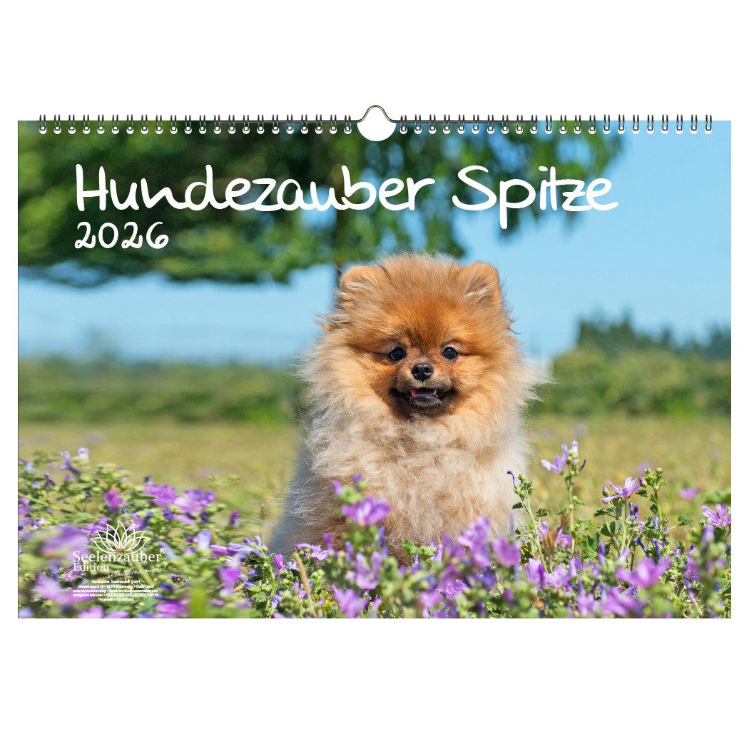 Seelenzauber Wandkalender Hundezauber Spitze DIN A3 Kalender für 2026 Welpen und Hunde
