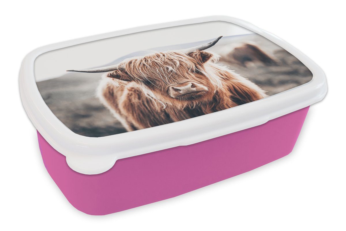 MuchoWow Lunchbox Schottischer Highlander - Berg - Hoorn, Kunststoff, (2-tlg), Brotbox für Erwachsene, Brotdose Kinder, Snackbox, Mädchen, Kunststoff rosa | Lunchboxen