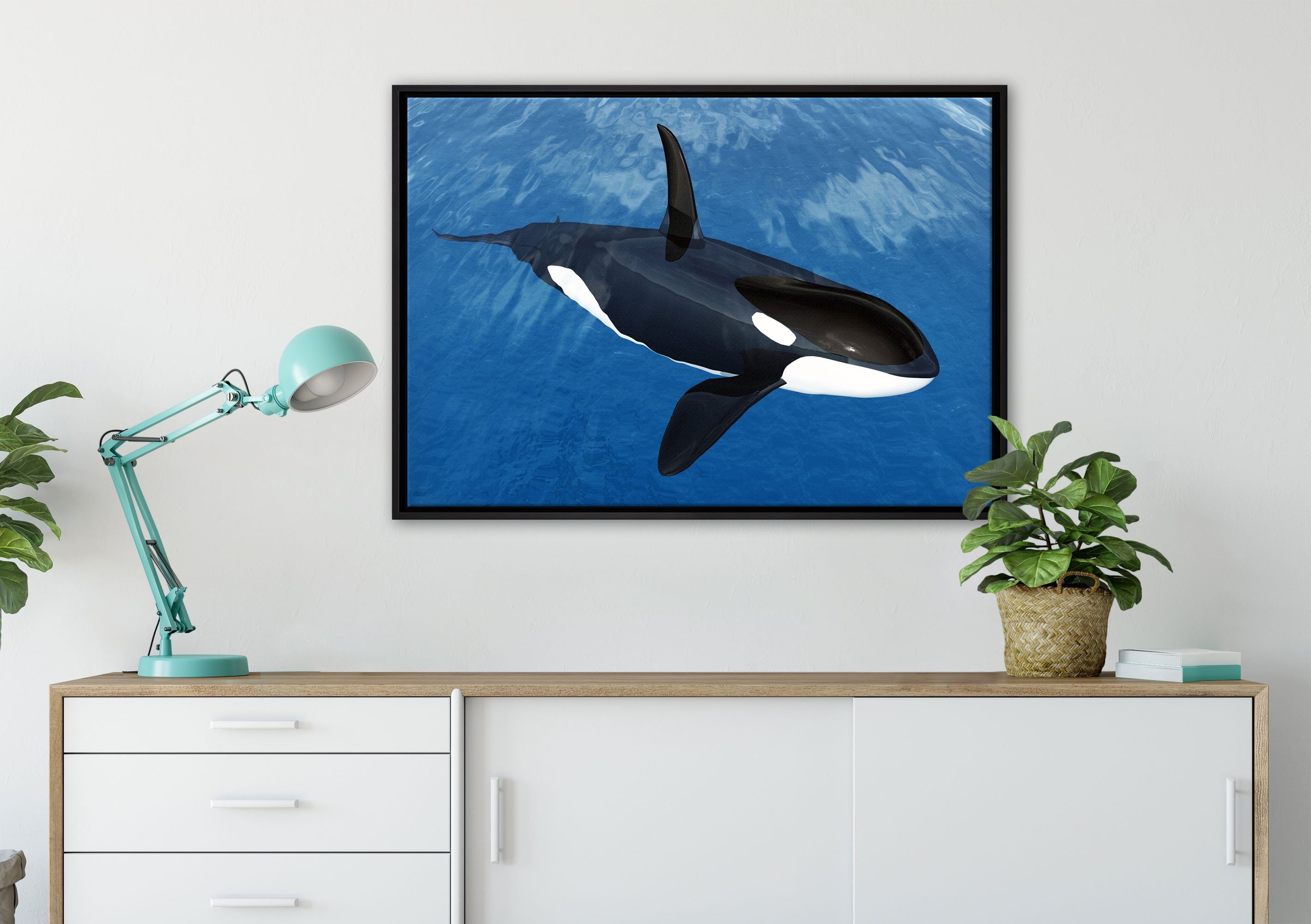 (1 Leinwandbild blauen Leinwandbild inkl. fertig Meer, im Pixxprint bespannt, Wanddekoration Zackenaufhänger einem Orca gefasst, in Schattenfugen-Bilderrahmen St),
