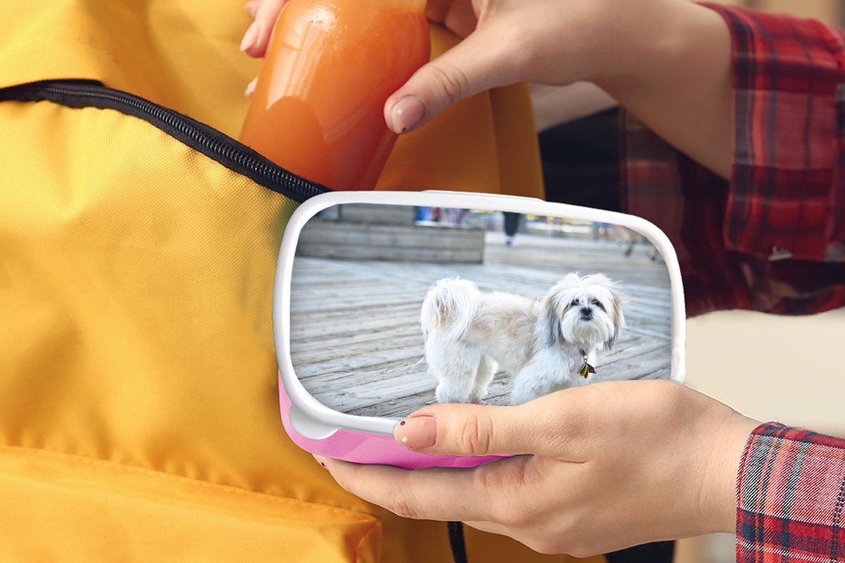 Hund Mädchen, für Kunststoff, mit Brotdose Snackbox, Erwachsene, Kunststoff Lunchbox Ein Tzu MuchoWow Brotbox Kinder, rosa Schuhen, (2-tlg), Shih