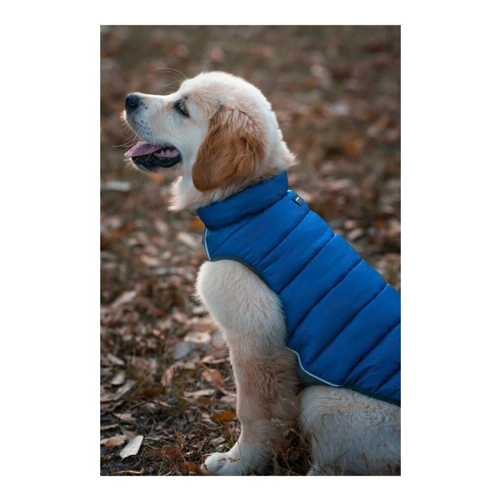 Red Dingo Hundemantel Hundemäntelchen TicWatch Puffer 40 cm