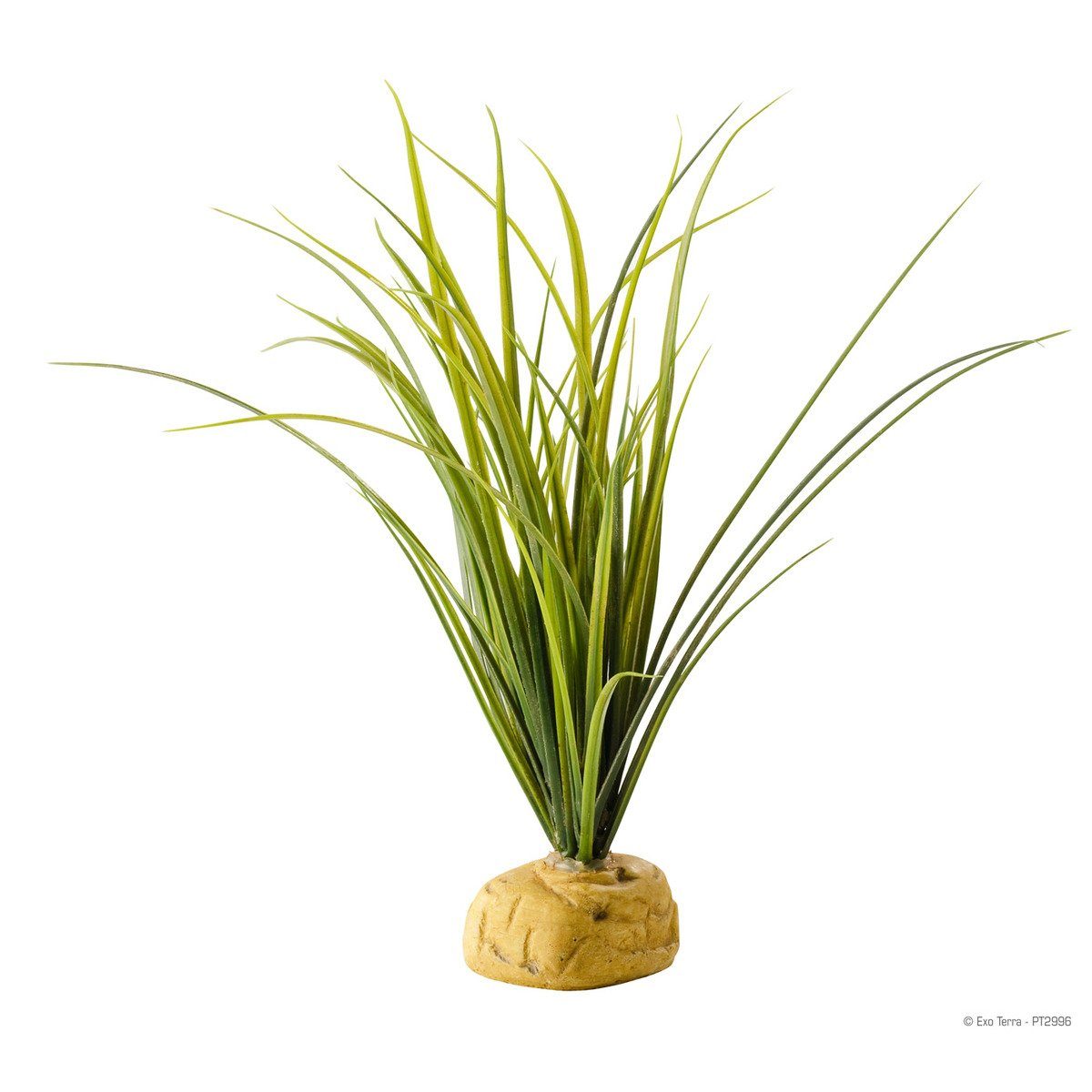 Exo Terra Terrariendeko Terrarien-Pflanze Turtle Grass