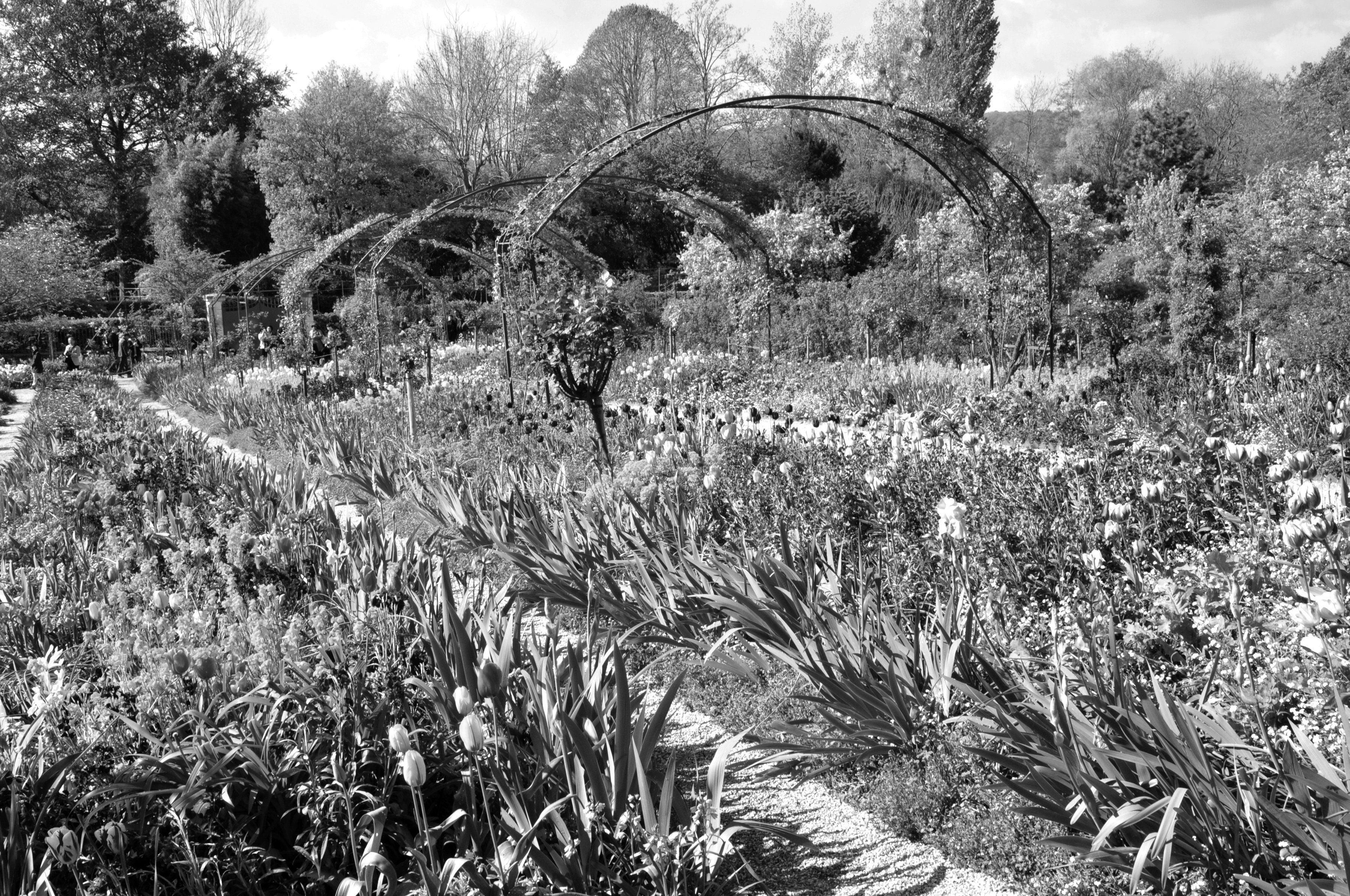 Weiß Fototapete Garten & Papermoon Schwarz