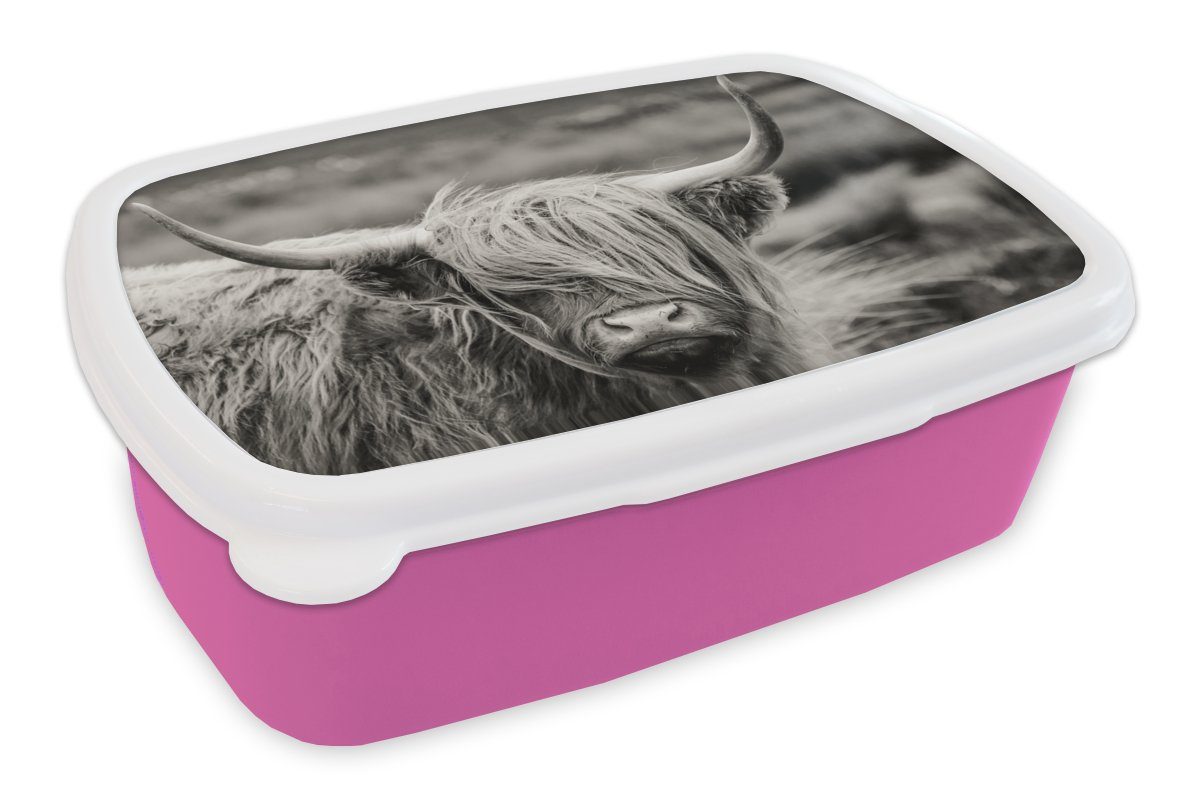 MuchoWow Lunchbox Schottischer Highlander - Kuh - Tiere - Schwarz-Weiß - Ländlich, Kunststoff, (2-tlg), Brotbox für Erwachsene, Brotdose Kinder, Snackbox, Mädchen, Kunststoff rosa