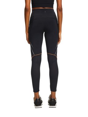 esprit sports Sporthose Sporthose mit hohem Bund