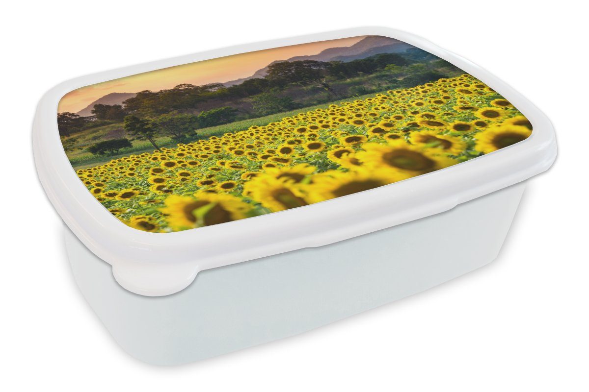 MuchoWow Lunchbox Sonnenblume - Natur - Berg, Kunststoff, (2-tlg), Brotbox für Kinder und Erwachsene, Brotdose, für Jungs und Mädchen weiß