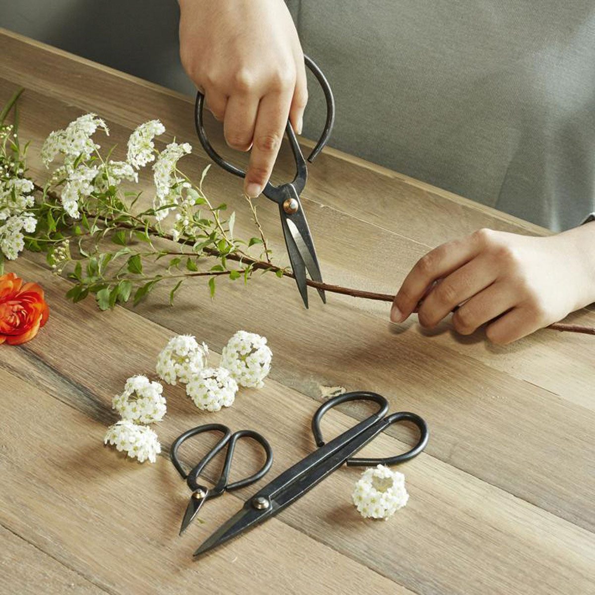 Gartenschere Scheren für Blumen Pflanzen