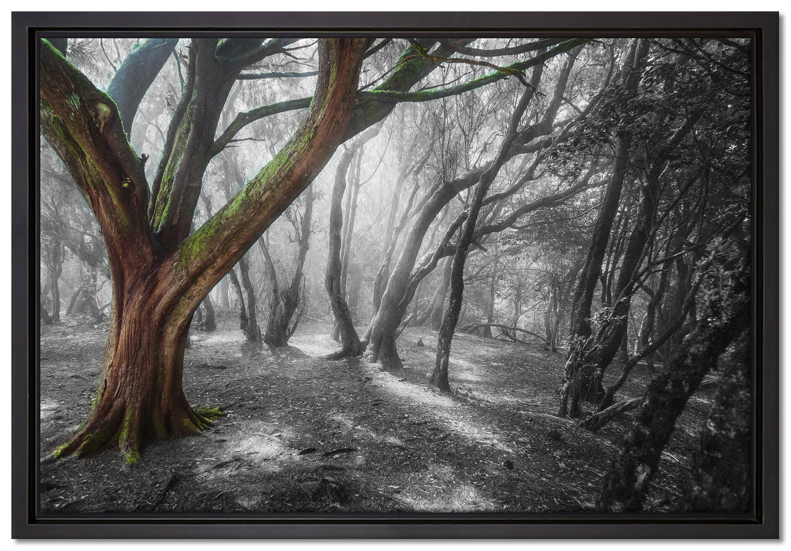 Pixxprint Leinwandbild einsamer Baum in tristem Grau, Wanddekoration (1 St), Leinwandbild fertig bespannt, in einem Schattenfugen-Bilderrahmen gefasst, inkl. Zackenaufhänger