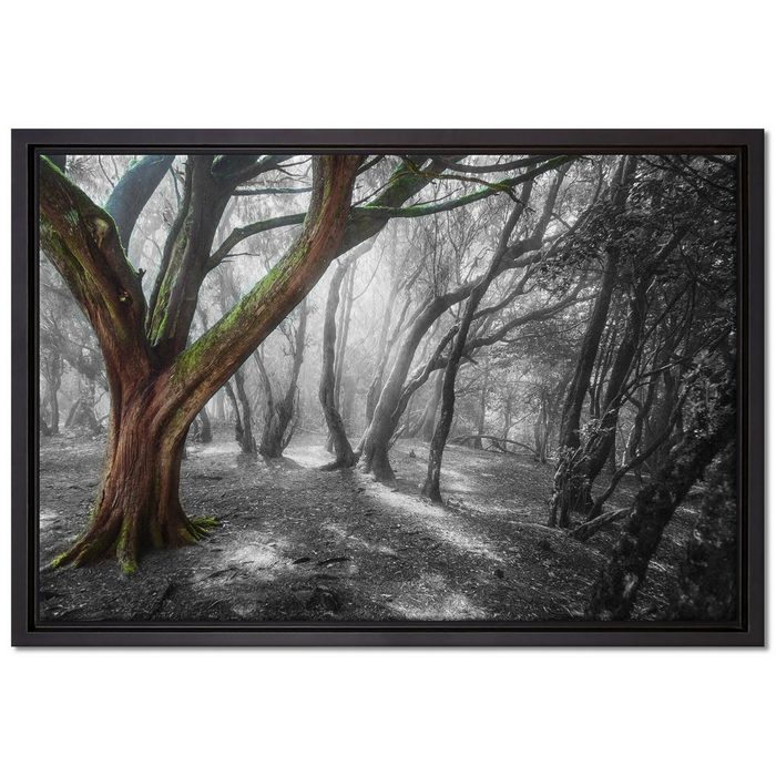 Pixxprint Leinwandbild einsamer Baum in tristem Grau Wanddekoration (1 St) Leinwandbild fertig bespannt in einem Schattenfugen-Bilderrahmen gefasst inkl. Zackenaufhänger
