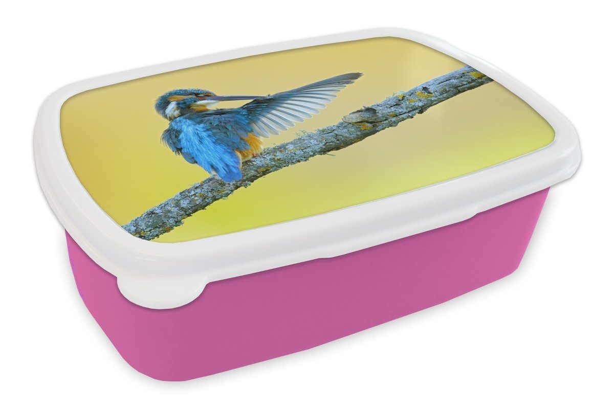 MuchoWow Lunchbox Eisvogel - Zweig - Blau, Kunststoff, (2-tlg), Brotbox für Erwachsene, Brotdose Kinder, Snackbox, Mädchen, Kunststoff rosa