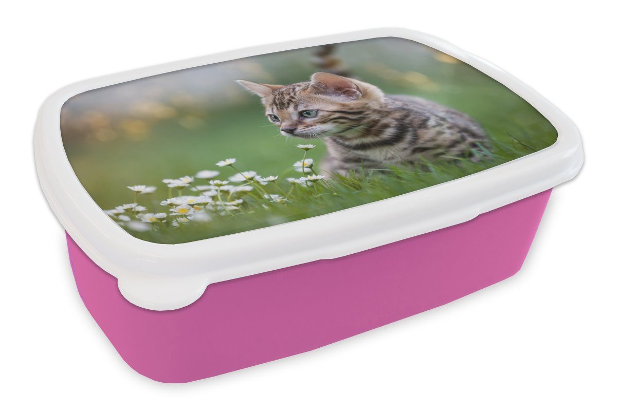 MuchoWow Lunchbox Ein Kätzchen im Gras, Kunststoff, (2-tlg), Brotbox für Erwachsene, Brotdose Kinder, Snackbox, Mädchen, Kunststoff rosa