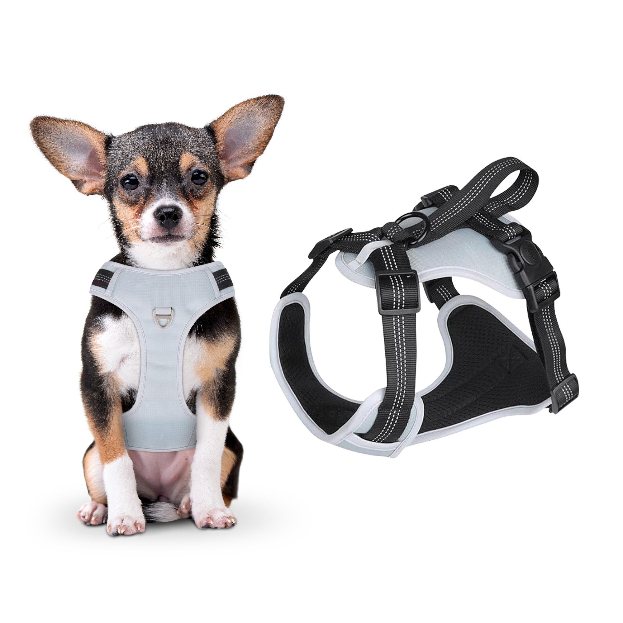 Bestlivings Hunde-Geschirr Favvity Pet Brustgeschirr für günstig online kaufen