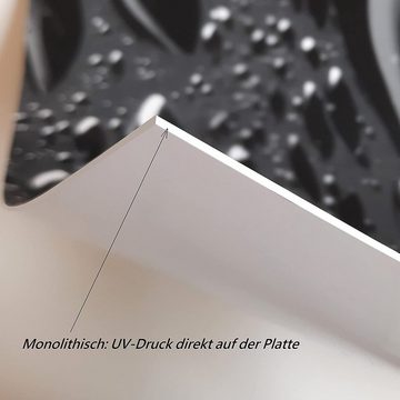 Rodnik Küchenrückwand Olivenzweige, ABS-Kunststoff Platte Monolith in DELUXE Qualität mit Direktdruck