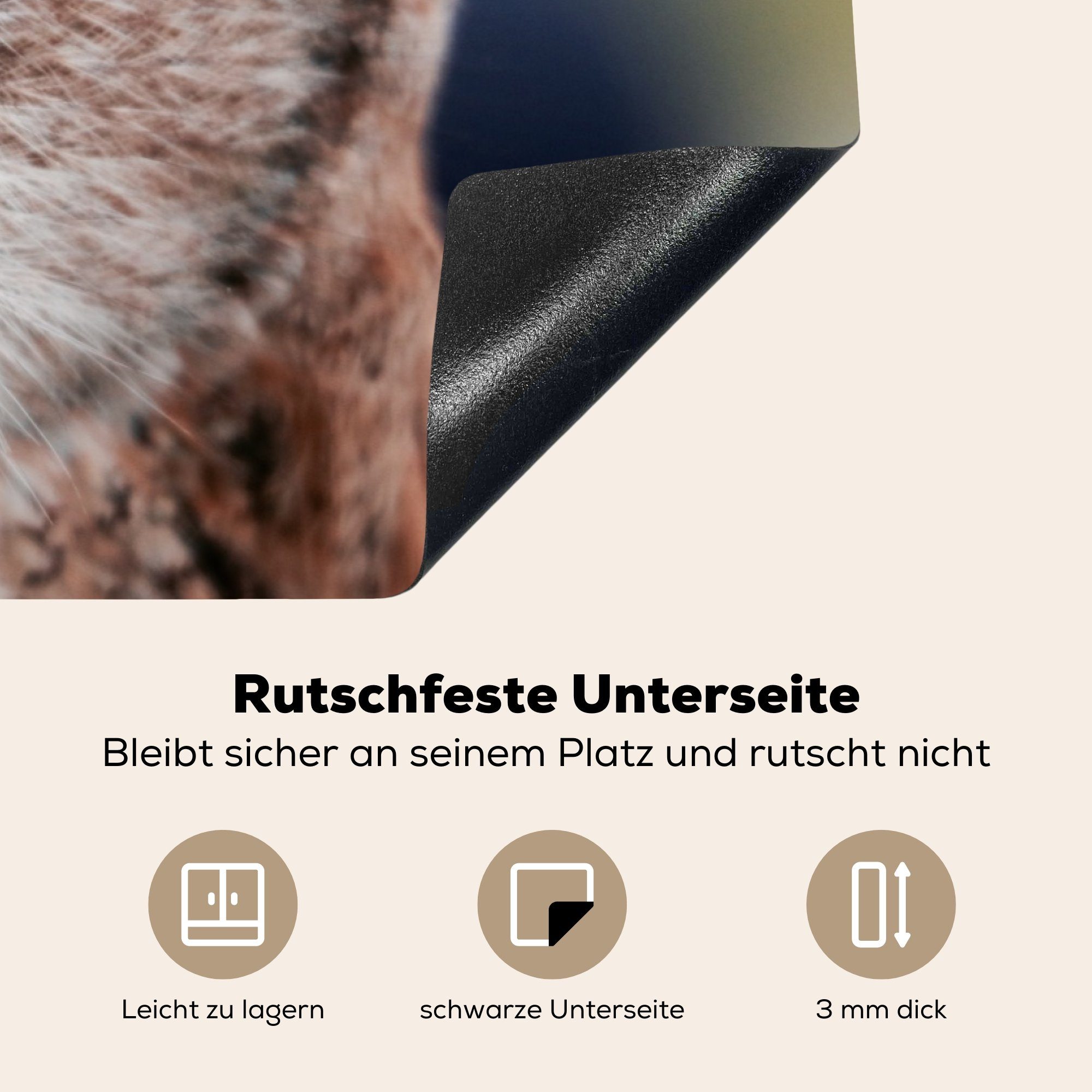 MuchoWow Herdblende-/Abdeckplatte Vogel - 81x52 Ceranfeldabdeckung für - küche, Schutz Vinyl, Induktionskochfeld Eule cm, (1 die Waldkauz, tlg)