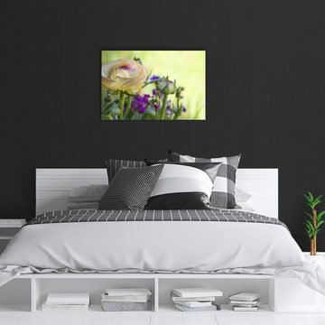 wandmotiv24 Leinwandbild Ranunkel, Blumen und Pflanzen (1 St), Wandbild, Wanddeko, Leinwandbilder in versch. Größen