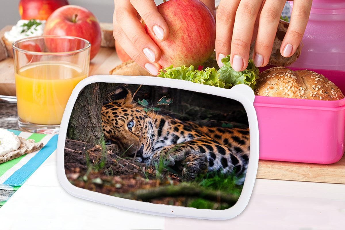 Mädchen, Baum Snackbox, rosa Dschungel, (2-tlg), Erwachsene, Panther - Brotbox Kunststoff MuchoWow Kinder, - Kunststoff, für Brotdose Lunchbox