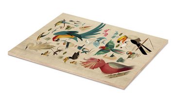 Posterlounge Holzbild Dieter Braun, Vögel, Kinderzimmer Vintage Illustration