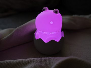 meineWunschleuchte LED Nachtlicht, USB-Ladefunktion, LED fest integriert, warmweiß, 2erSet Dino Lampe Stilllicht dimmbar Kinderzimmerleuchte USB aufladbar