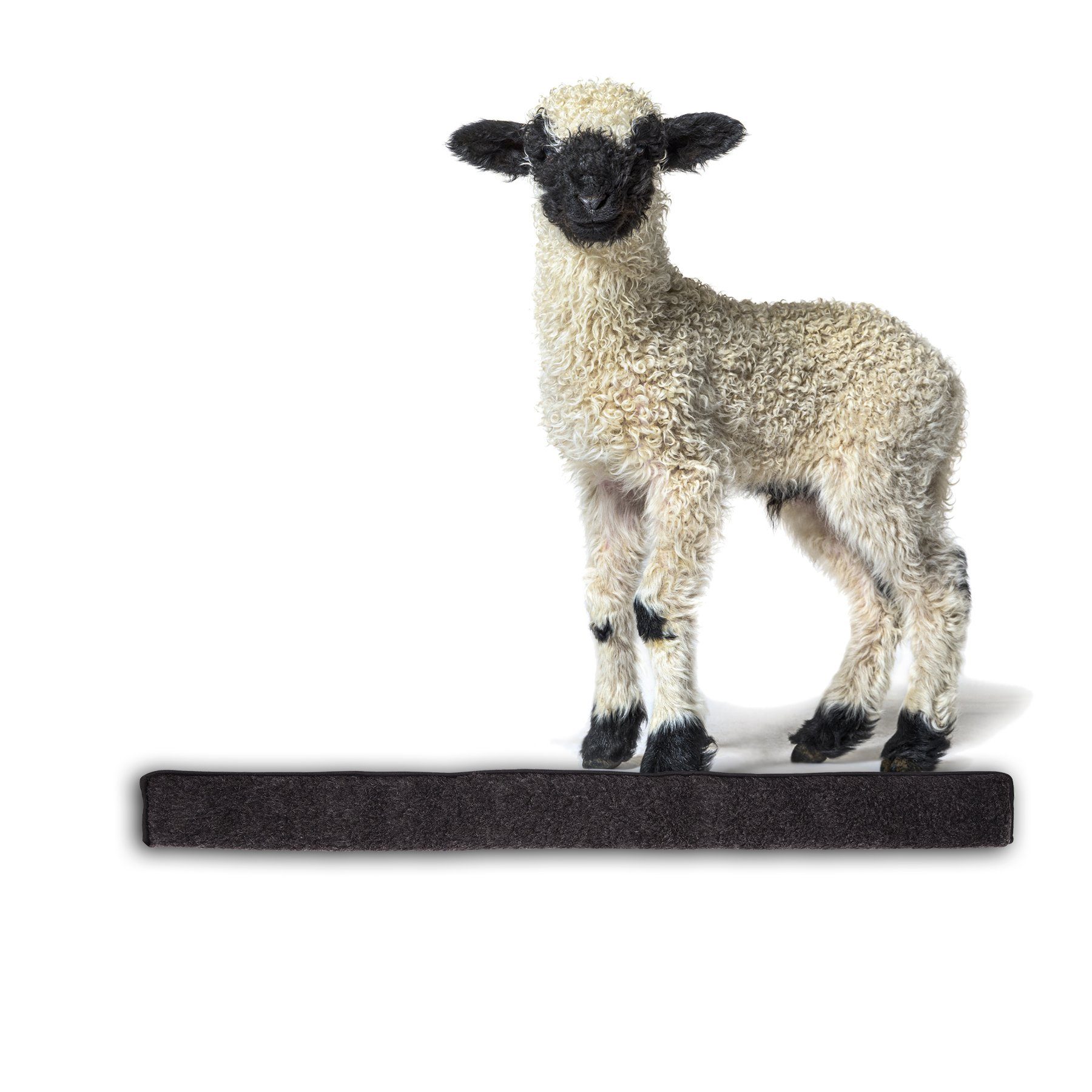 BigDean Zugluftstopper für Fenster 100cm 100% Schurwolle Grau Luftzugstopper Made in Germany, 1-tlg.