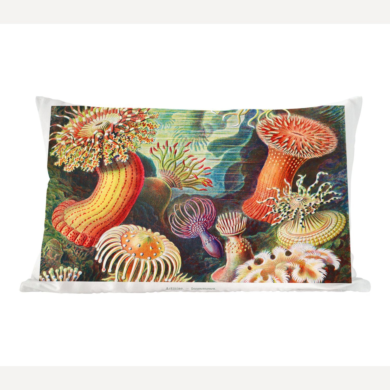 MuchoWow Dekokissen Ernst Haeckel - Anemone - Retro - Natur - Pflanzen - Meer, Wohzimmer Dekoration, Zierkissen, Dekokissen mit Füllung, Schlafzimmer